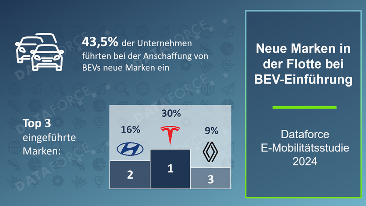 Dataforce Studie Elektromobilität 2024