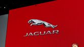 Jaguar: