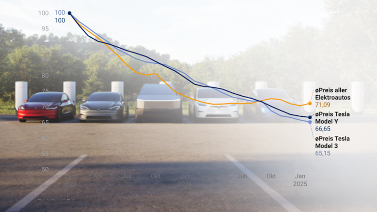 Tesla-Flotte und Infotgrafik